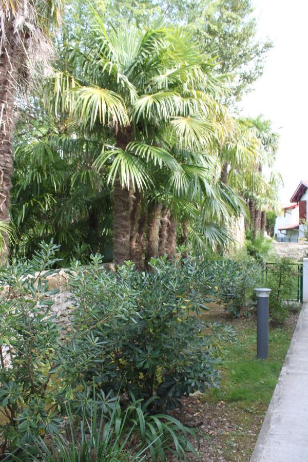Chalet Ilona Cambo-les-Bains Exterior foto